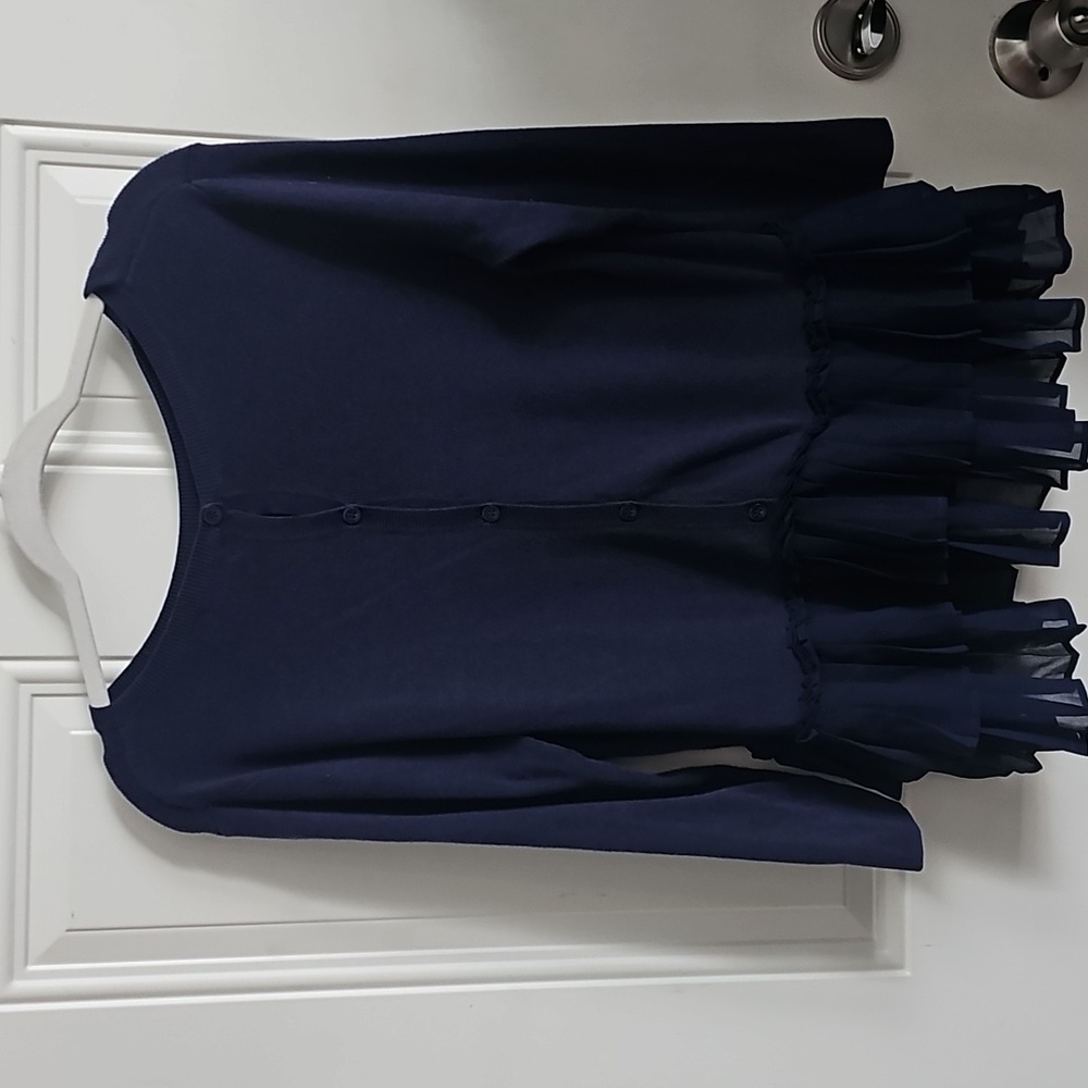 Blue Long Sleeve Blouse with Peplum and Ruffle Hem - Picture 3 of 6